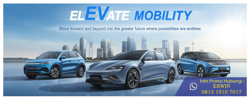Banner BYD